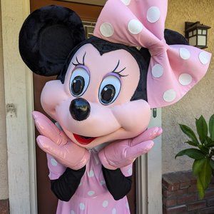 Minnie Mouse Mascot Costume with dress (almost new) professional quality $200